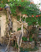 Clique pour agrandir ...